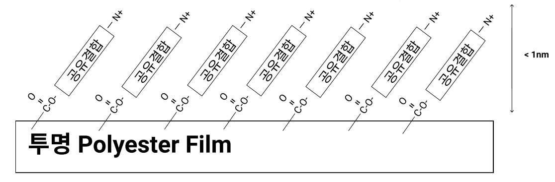 투명 Polyester Film