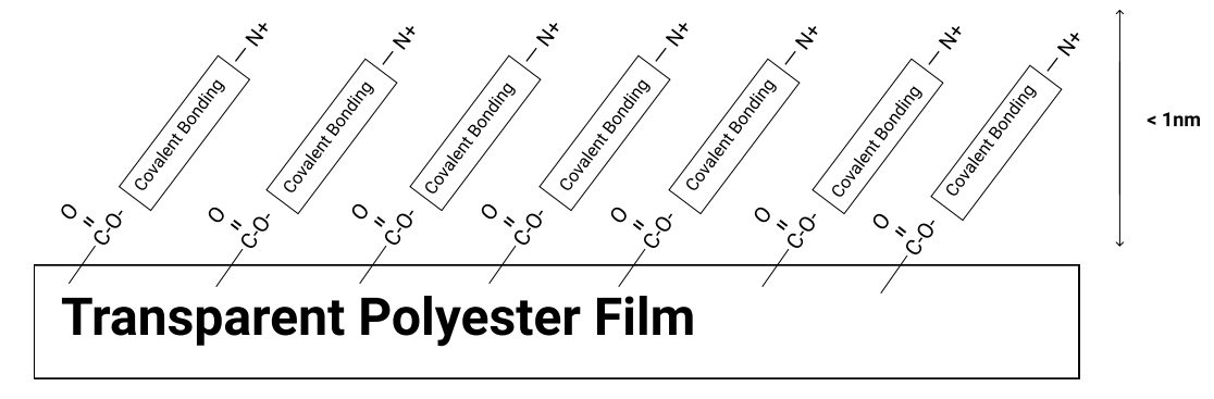투명 Polyester Film
