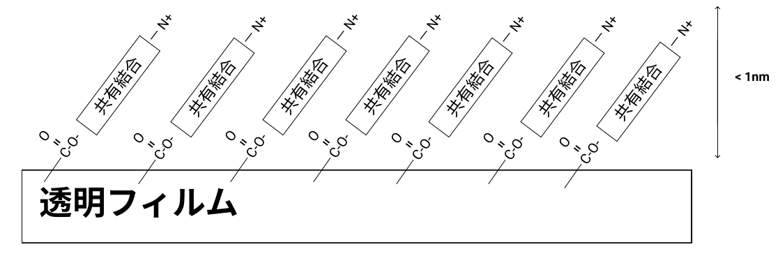 투명 Polyester Film