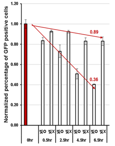 HIV virus Deactivation