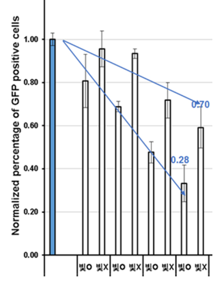 MLV virus Deactivation